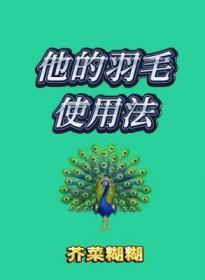 他的羽毛使用法by芥川糊糊讲的什么