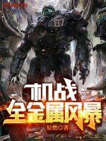 机战风暴