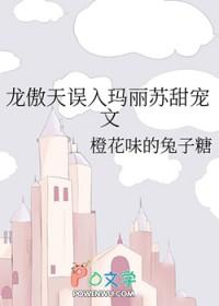 当龙傲天碰上玛丽苏