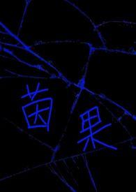 清朝穿越记笔趣阁
