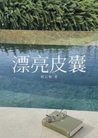 漂亮皮囊